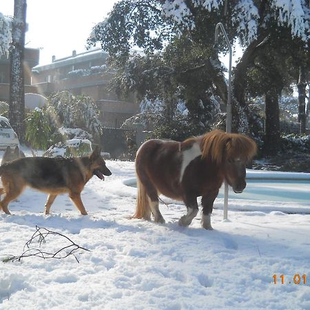 Relais La Canfora Rome Bagian luar foto