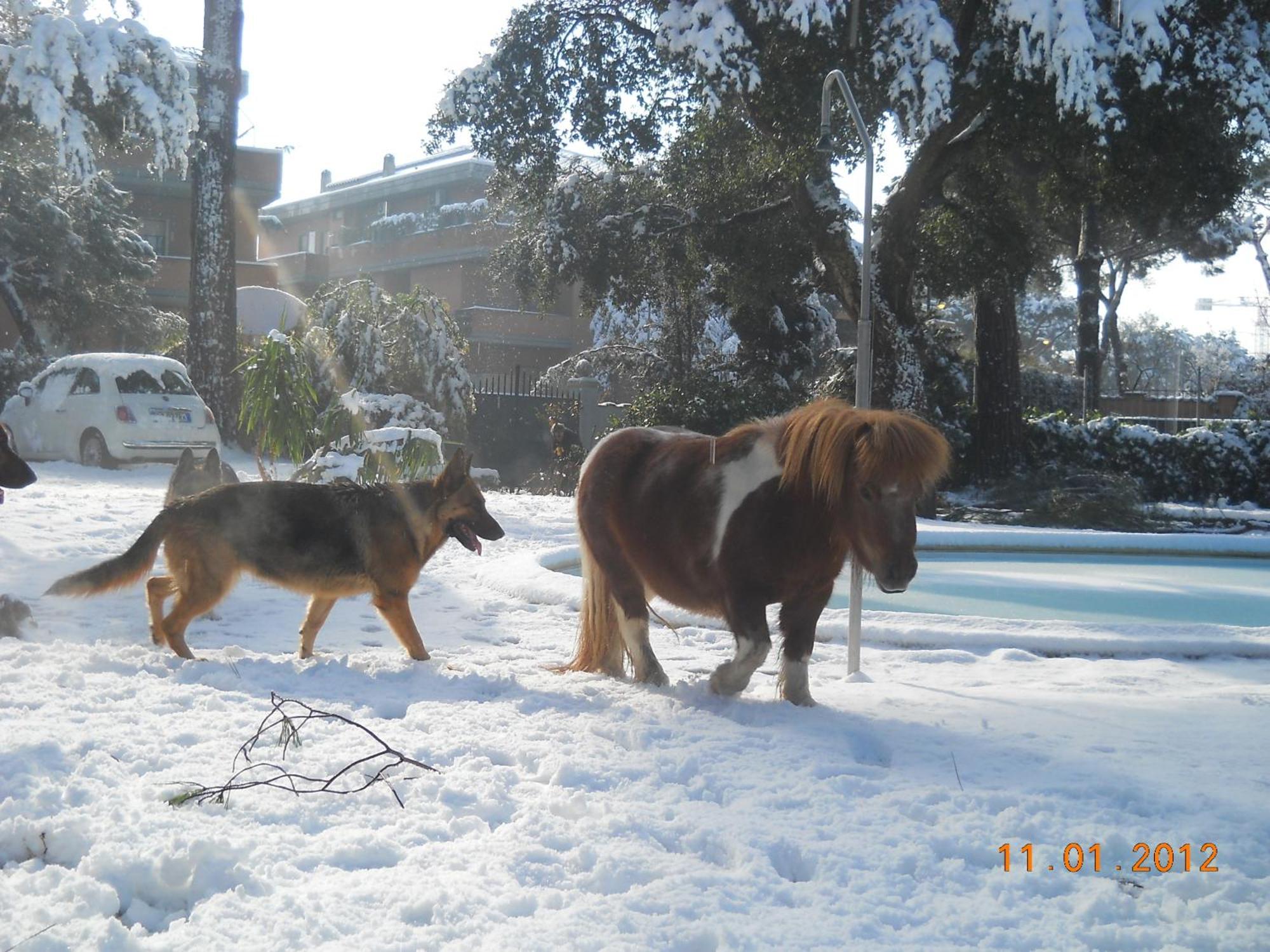 Relais La Canfora Rome Bagian luar foto